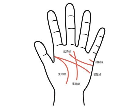 感情線上方的線|手相怎麼看？感情線、智慧線、生命線在哪裡？長度、。